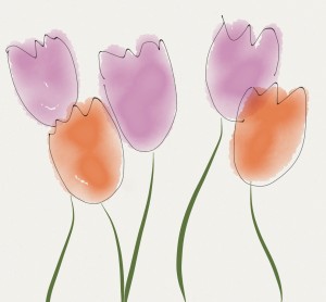 Pink and orange tulips
