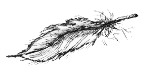 A pen brush drawing of a falling feather.
