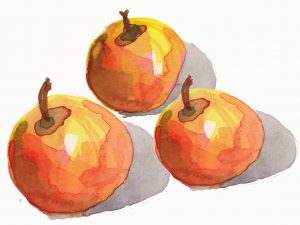 Watercolour apples by Alison Garwood-Jones