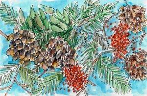 Pinecones and Berries Painting by Alison Garwood-Jones
