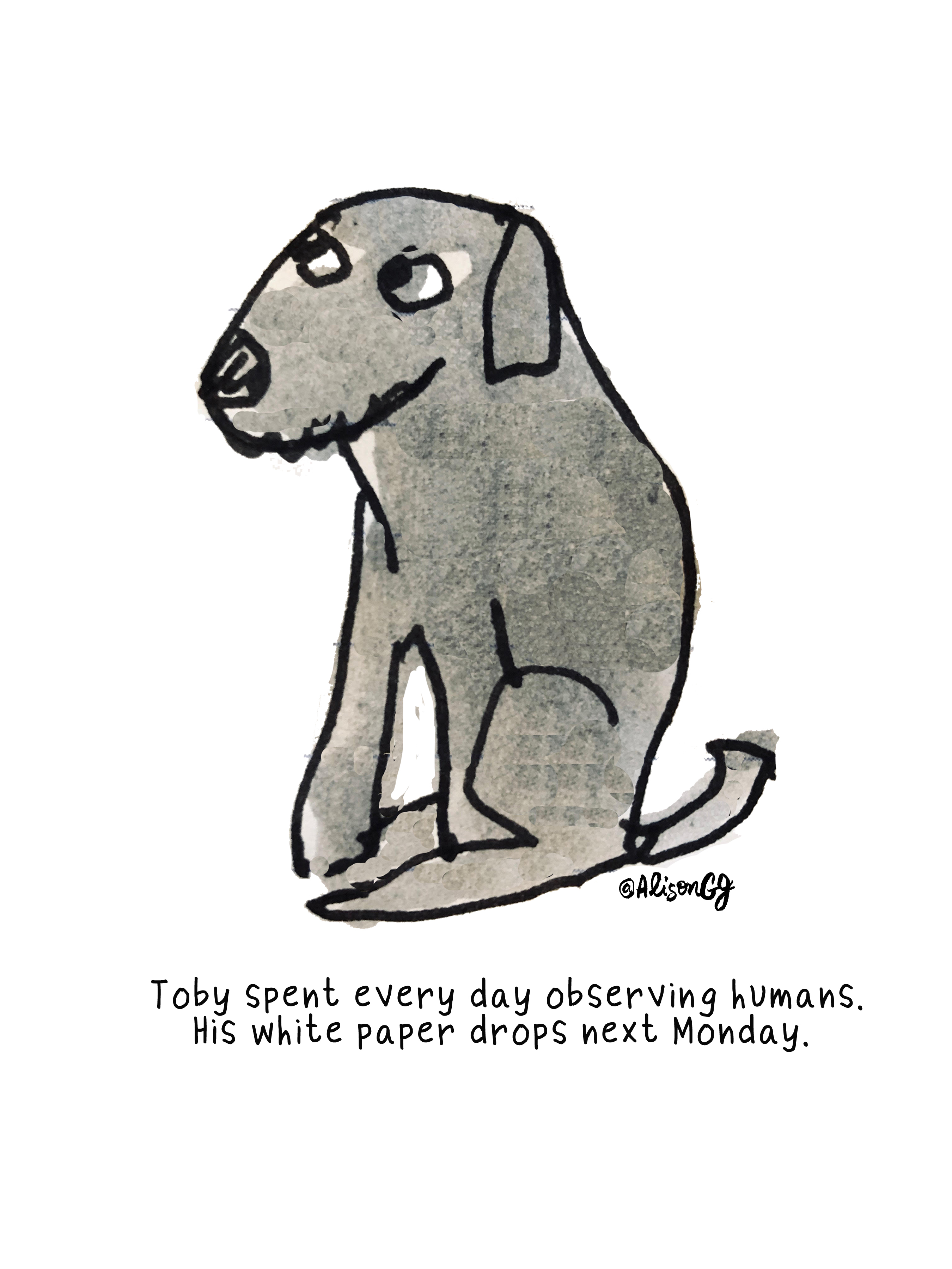 Toby the Dog - illustration by Alison Garwood-Jones