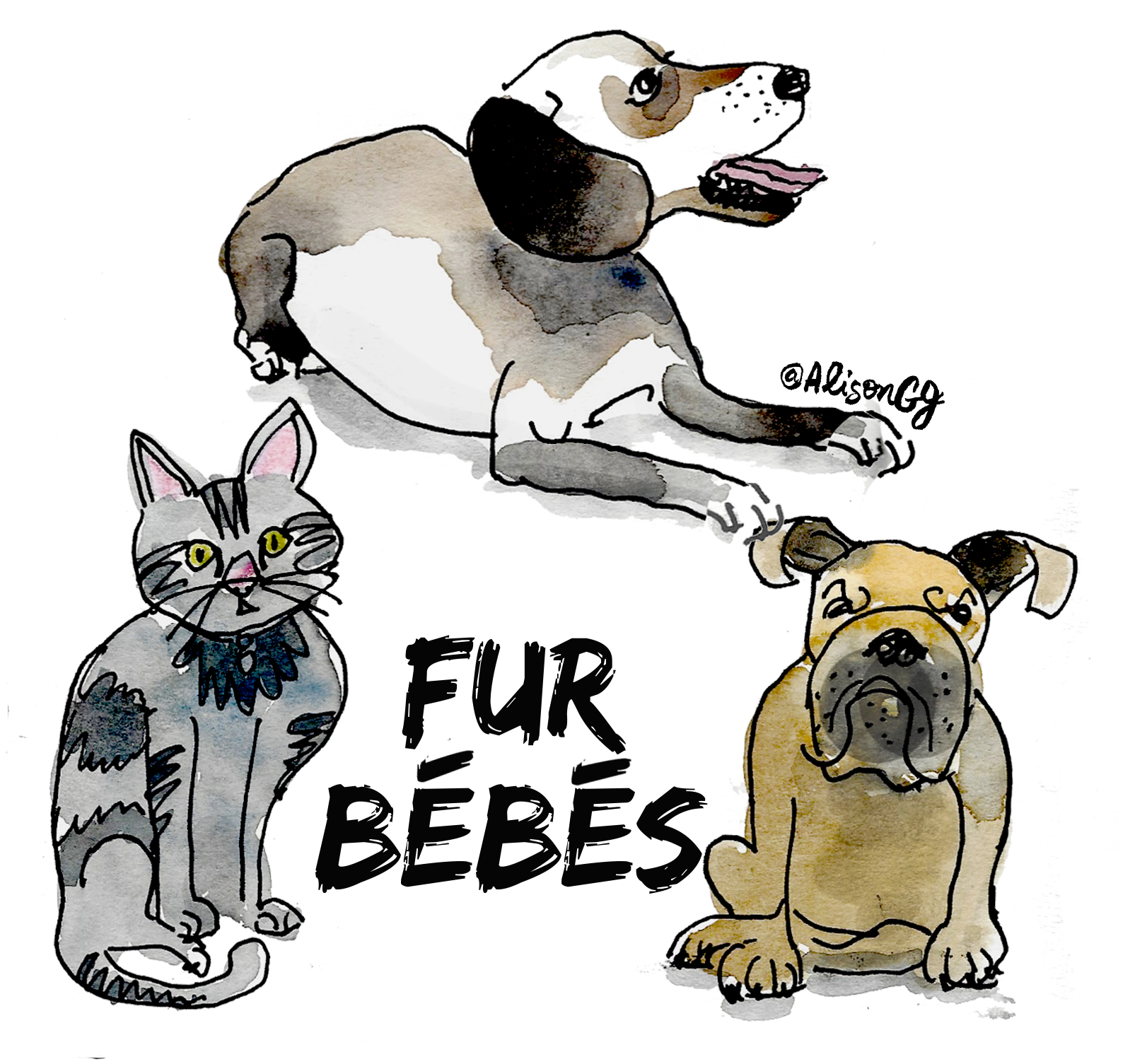 Dog illustrations by Alison Garwood-Jones