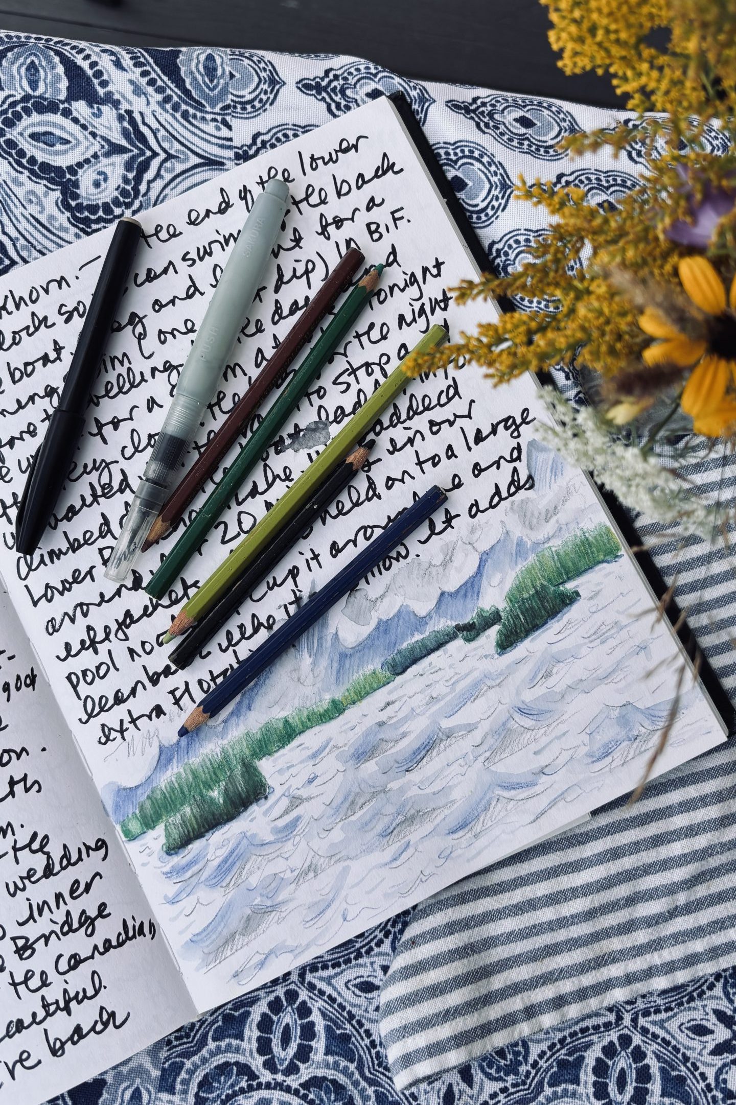 Kawartha Lakes observations by Alison Garwood-Jones